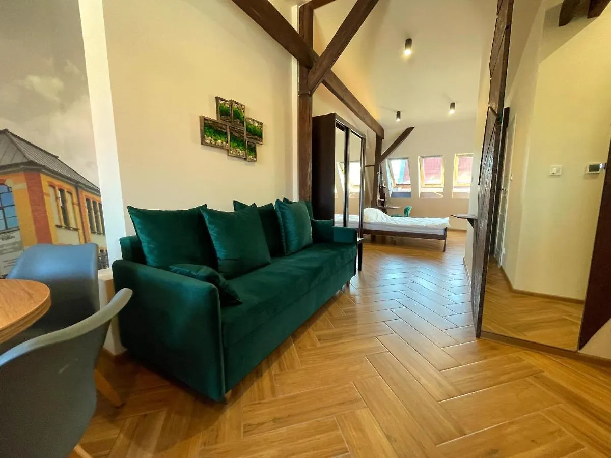 Apartment Long Attic Studio Posen