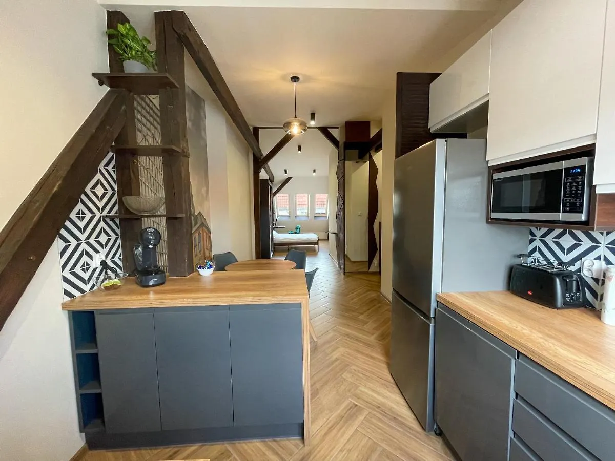 Apartment Long Attic Studio Poznan