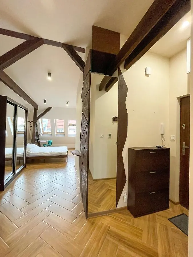 Long Attic Studio Poznan 0*,